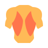 Latissimus Dorsi icon